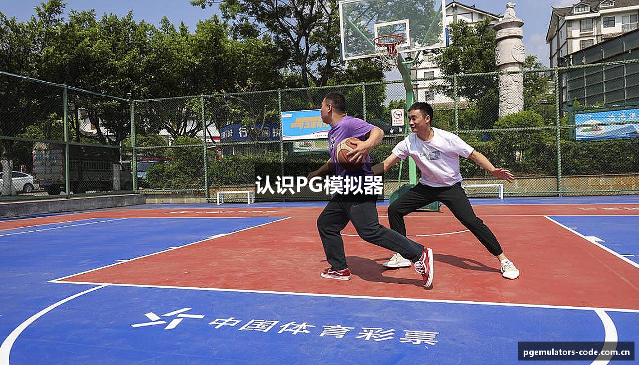 认识PG模拟器